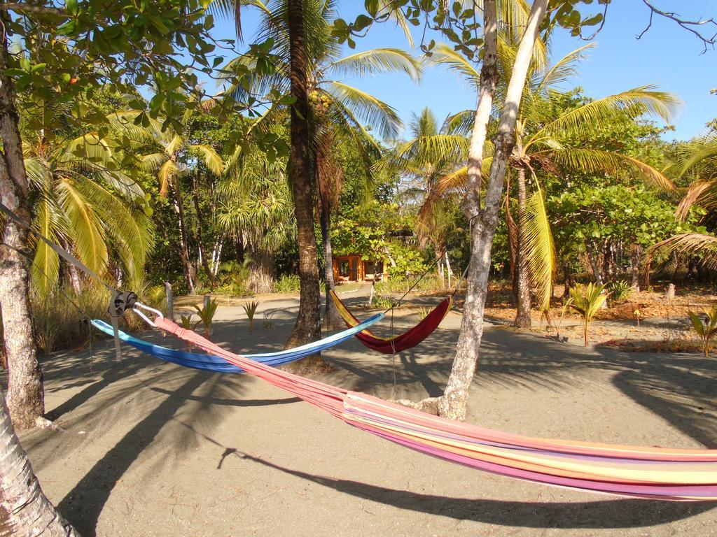 Bed and Breakfast Punta Preciosa Puerto Jiménez Exteriér fotografie