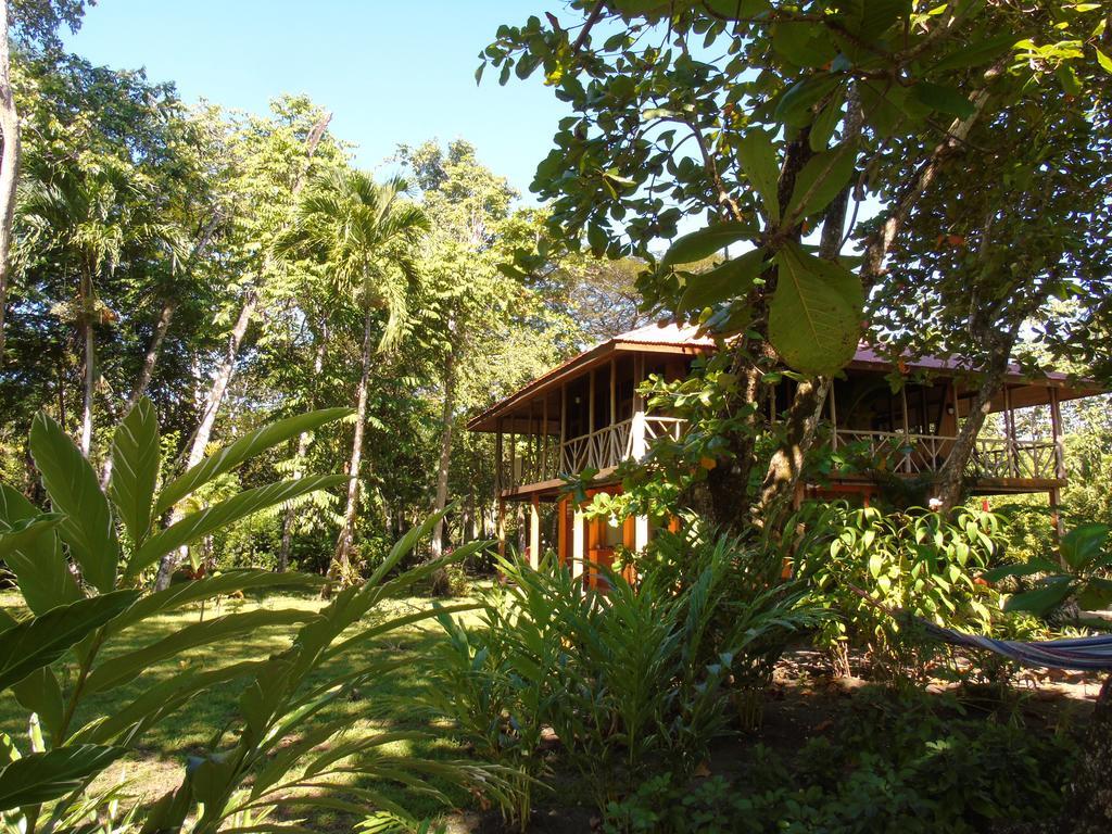Bed and Breakfast Punta Preciosa Puerto Jiménez Exteriér fotografie